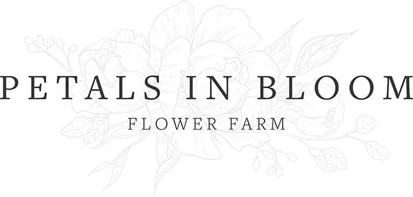 Petals in Bloom
